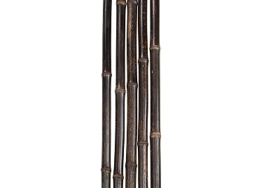 Black Bamboo