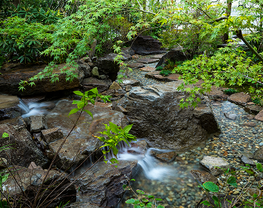 Nature’s Expression, Shaped by Time